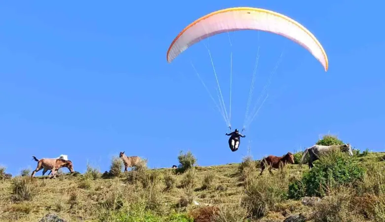 paraglider taking off from bir billing