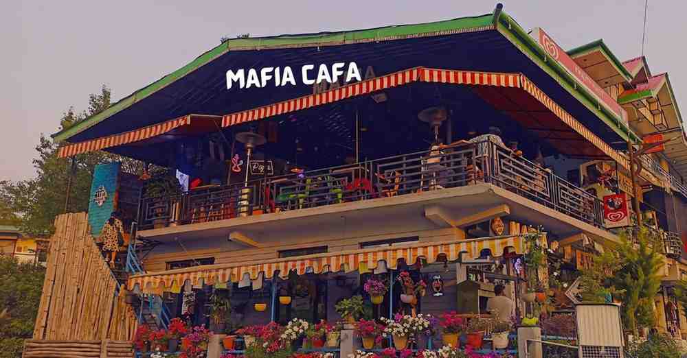 Mafia Bir - best cafe in bir billing